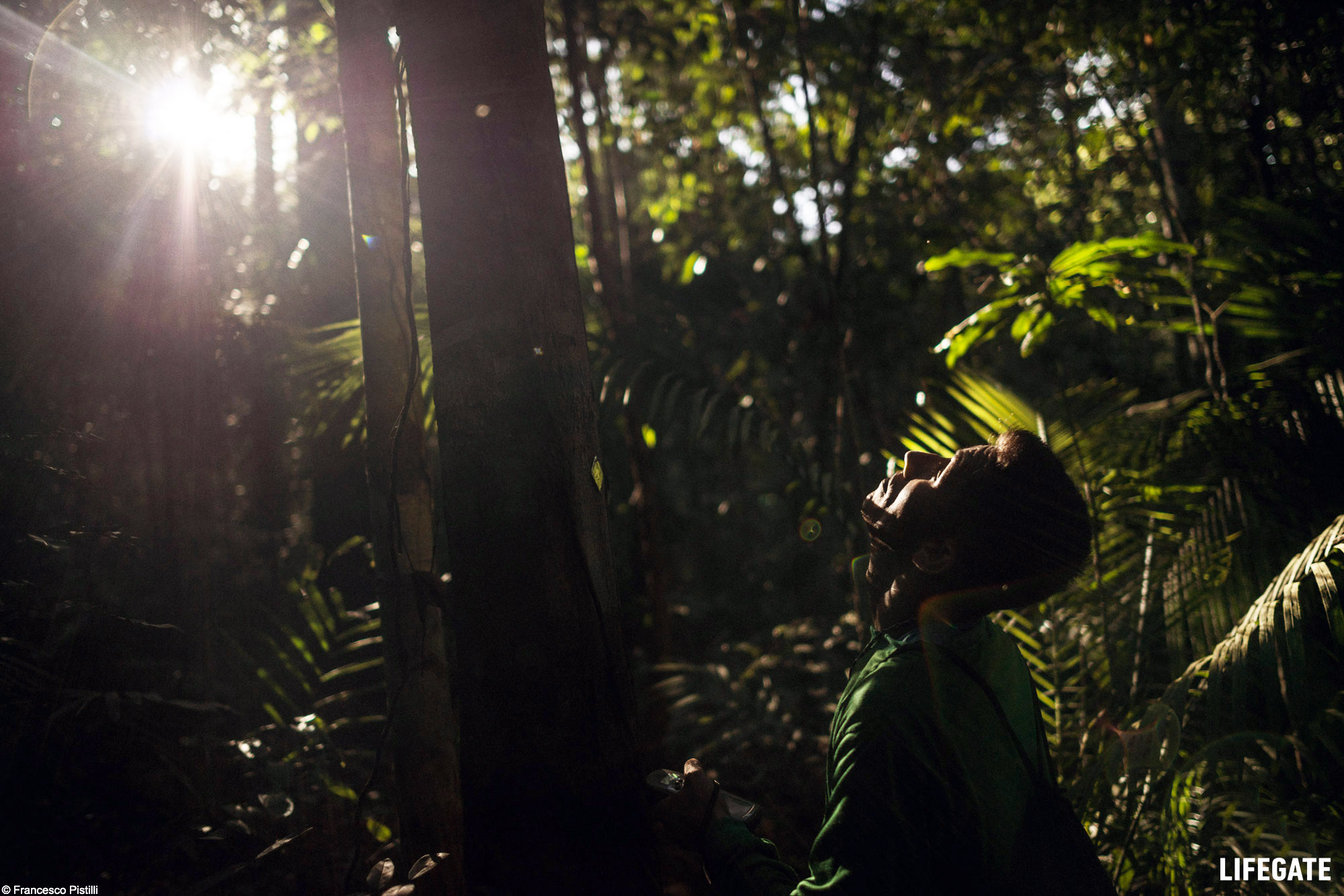 Il Forest Month di Deesup sostiene LifeGate e l'iniziativa Foreste in Piedi